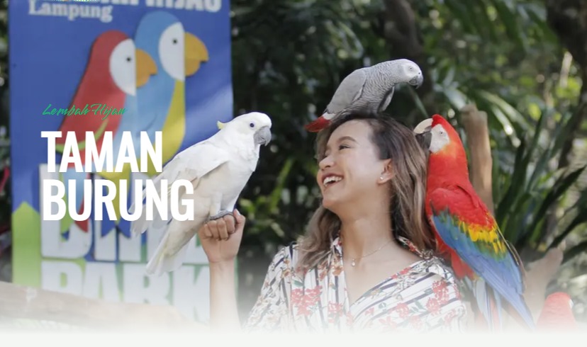 Foto : Taman Burung Lembah Hijau